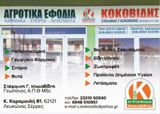 ΚΟΚΟΒΙΔΗΣ ΣΤΕΦΑΝΟΣ