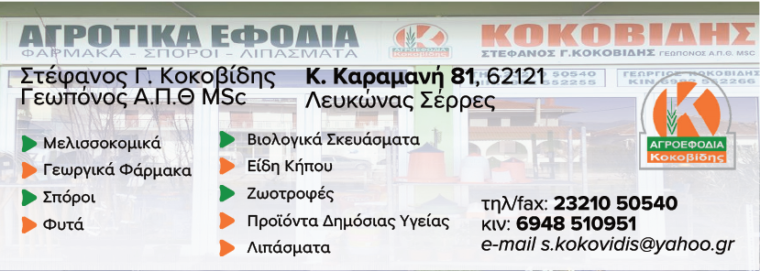 ΚΟΚΟΒΙΔΗΣ ΣΤΕΦΑΝΟΣ