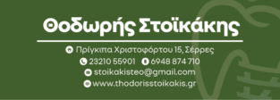ΣΤΟΙΚΑΚΗΣ ΘΕΟΔΩΡΟΣ