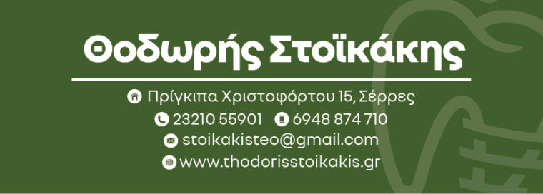 ΣΤΟΙΚΑΚΗΣ ΘΕΟΔΩΡΟΣ