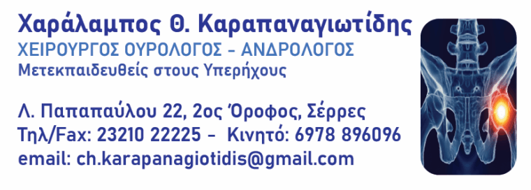 Χαράλαμπος Θ. Καραπαναγιωτίδης