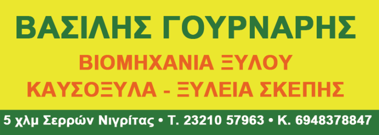 ΒΑΣΙΛΗΣ ΓΟΥΡΝΑΡΗΣ