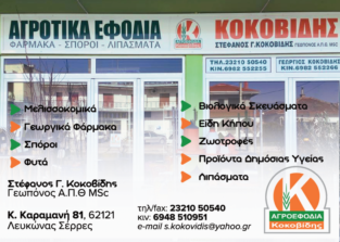 ΣΤΕΦΑΝΟΣ Γ. ΚΟΚΟΒΙΔΗΣ